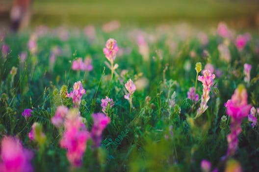 Photo by NO NAME on Pexels
