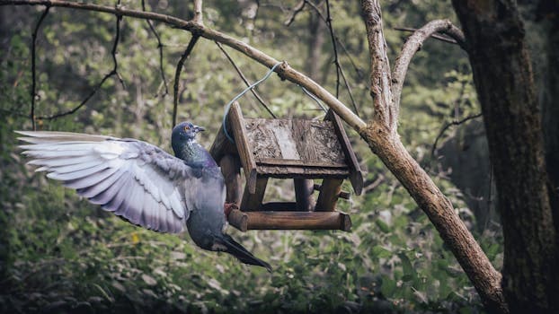 Photo by Serhii Barkanov on Pexels