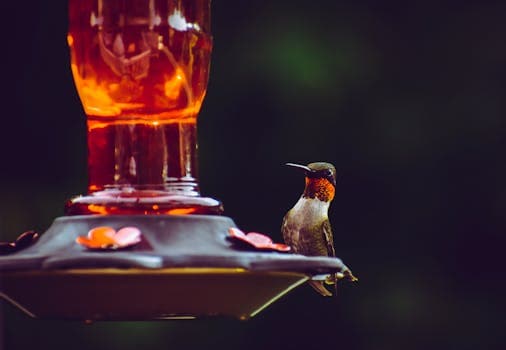 Photo by Chris F on Pexels