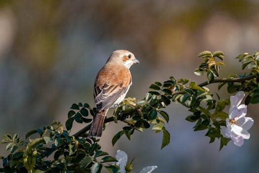 Photo by Denitsa Kireva on Pexels