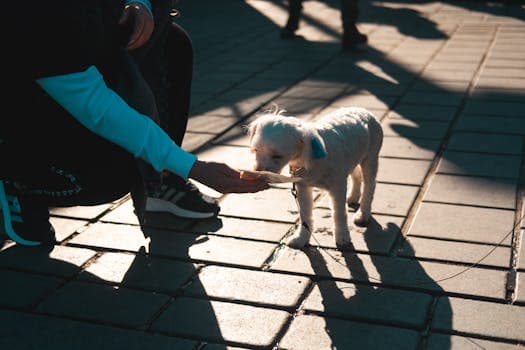 Photo by Görkem Cetinkaya on Pexels