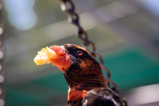 Photo by Magda Ehlers on Pexels
