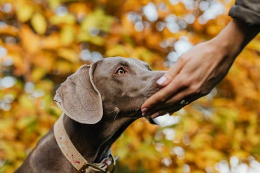 Photo by Karola G on Pexels