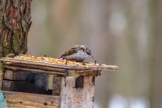 Photo by paul on Pexels