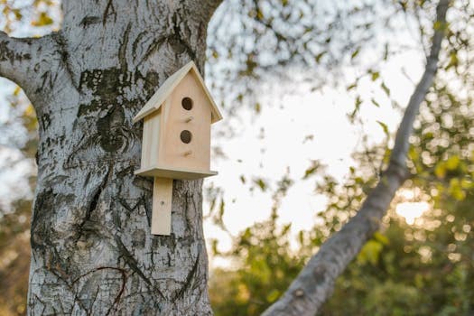 Photo by RDNE Stock project on Pexels
