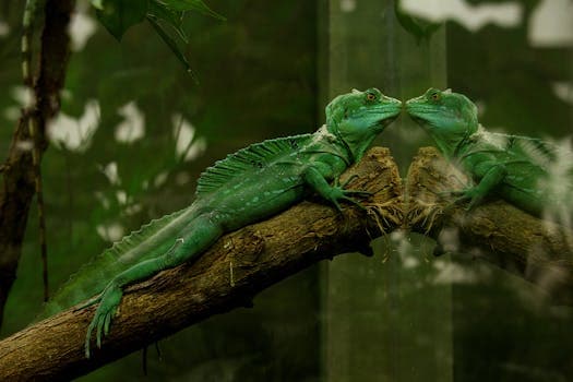 Photo by Miriam Fischer on Pexels