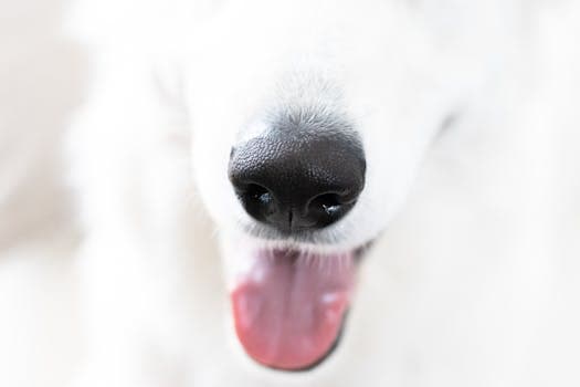 Photo by Simona Kidrič on Pexels