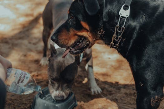 Photo by Vova Kras on Pexels