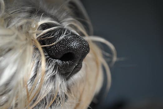 Photo by Elise Mason on Pexels