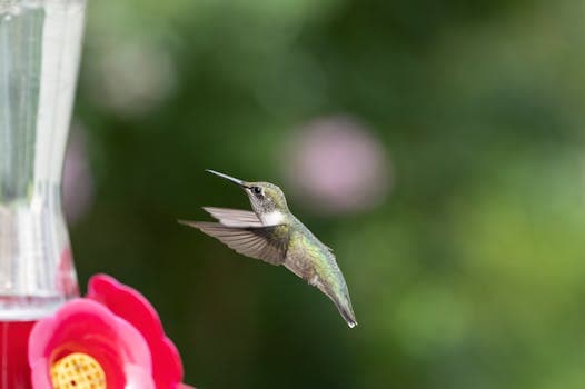Photo by David Dibert on Pexels