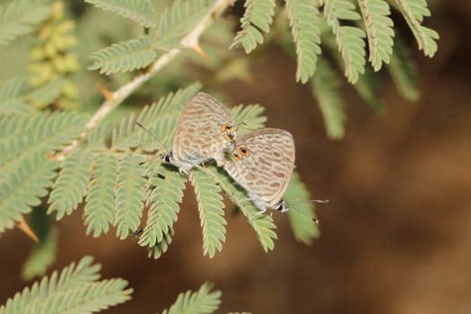 Photo by naor eliyahu on Pexels