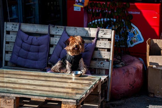 Photo by levan simonshvili on Pexels