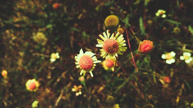 Photo by Sourabh Yadav on Pexels