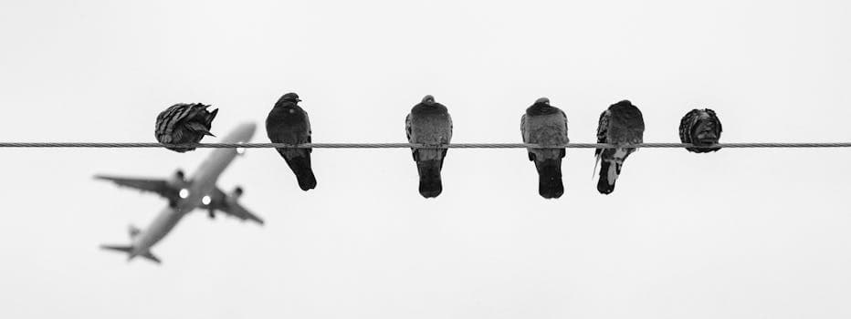 Photo by Pixabay on Pexels