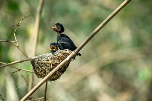 Photo by Meghdoot Dhara on Pexels