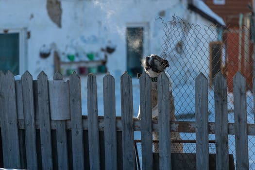 Photo by Sergei Starostin on Pexels