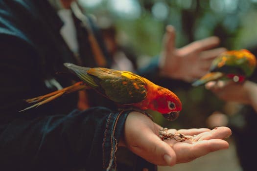 Photo by Theodore Nguyen on Pexels