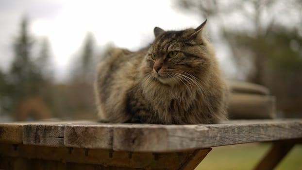 Photo by Nikos Kazancakis on Pexels