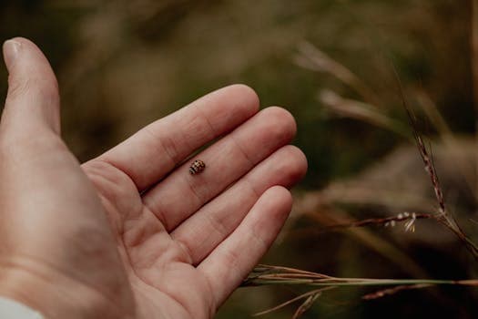 Photo by Inge Bester on Pexels